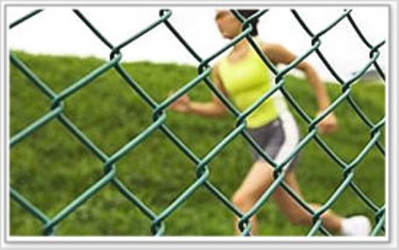 Chain Link Fence 